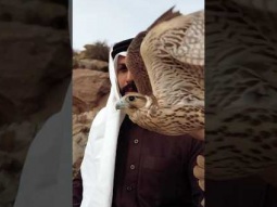 #اكسبلور