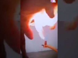 لماذا يحرقون رحم الابقار بالنار ؟