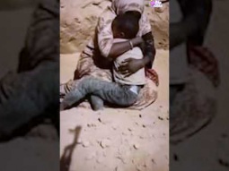 محمد درة جديد فى السودان