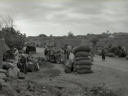 العلامة بقلم سمير الخطيب