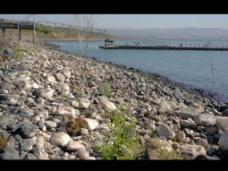 كفرناحوم: رصيف روماني قديم يظهر من جديد – حيث تلتقي التوراة بعلم الآثار