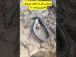 #اكسبلور #ردات_فعل