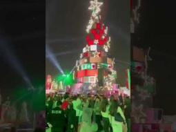Amazing Christmas tree in Jordan