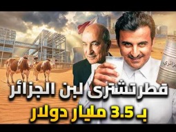 قطر تشترى لبن الجزائر .. 3.5 مليار دولار من اجل كوب لبن .. واوروبا تنتفض غضباً