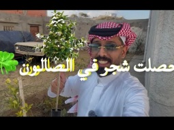 #سلسلة  #الصالون ن