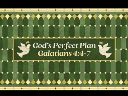 God&#39;s Perfect Plan | Daniel Bentley