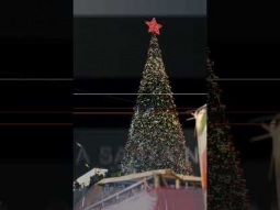 أخبار الأرض المقدسة ١٩ كانون الأول ۲۰۲٥