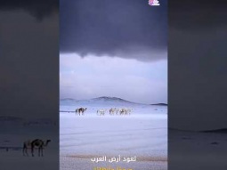 ثلوج وانهار متجمدة فى السعودية .. علامة يوم القيامة