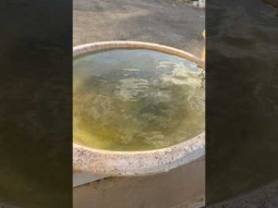 See the amount of rain we had this week