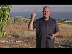 رسالة الميلاد ٢٠٢٥ - الجزء الثالث