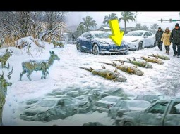 عواصف امريكا تخرج عن السيطرة .. الحيوانات تتجمد والسماء تمطر ثلج اسود رائحته بنزين