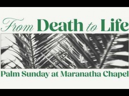 Who Is This? | Daniel Bentley