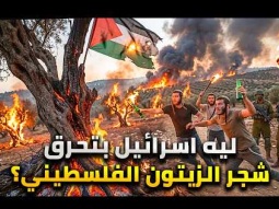 لماذا تقطع إسرائيل أشجار الزيتون في فلسطين؟