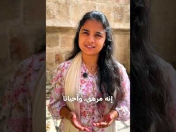 كيف نجد الحقيقة في عالم مليء بالضجيج؟