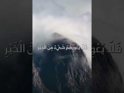 نظروا اليه و استناروا و وجوههم لم تخجل #الحياة_الأفضل