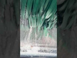 Having a bath for my car