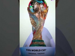 تجارب مرعبة اثناء كأس العالم