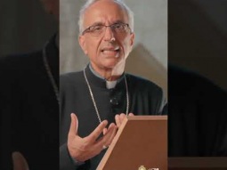 إنجيل الأحد الرابع عشر من الزمن العادي (السنة أ) – إنجيل متّى (مت 11: 25–30).