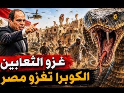 الثعابين تغزو مصر .. ماذا يحدث ولماذا غزت الأفاعي بيوت المصريين؟