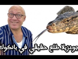 جودزيلا الحيوان الاسطوري بتاع الافلام طلع حقيقي في بانكوك