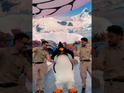 احلى ليلة احلى ناس في أبوظبي