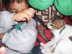 في روضتنا قطه ـ فيديو كليب لأطفال روضة الحنان