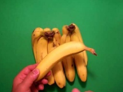 الموز يخفف فرص الاصابه بالنوبات القلبيه