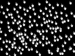 1 - كبر الصوره 2- ضع الفارة على الصوره .3- اغمض عنيك .4-حرك الفاره شمال يمين بكل الاتجاهات ... وفتح عنيك واقدر لاقيها بدون تحريك الفأره