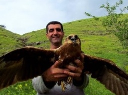 إنقاذ طائر جارح من نوع عقاب في وادي البيرة -فلسطين