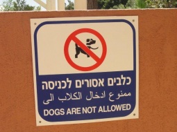 ممنوع ادخال الكلاب الى أين؟ مجموعة من اليافطات بدون نهاية